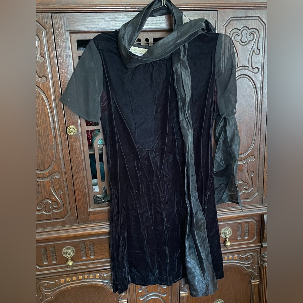 Vintage Velvet Dress and Scarf